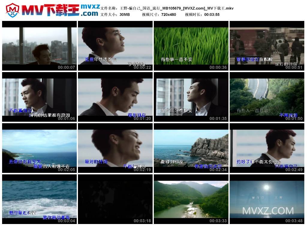 王野-骗自己_国语_流行_MB105679